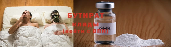 хмурый Тайга
