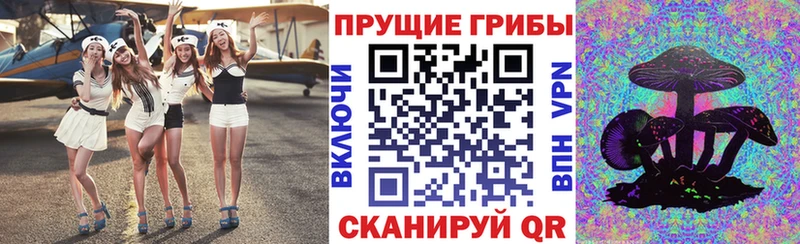 даркнет сайт  Данков  Псилоцибиновые грибы мухоморы 